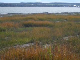 Auberge Les Blancs Moutons - 6