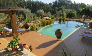 Casa Azul self-catering apartment with gorgeous biological swimming pool - Avelar - 8