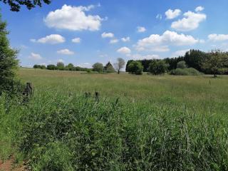Blockbohlenhaus-Steiner-Lodge - Steinen - 5