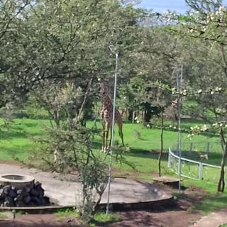 Casa Andreas retreat - 2