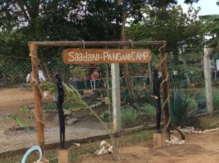 Saadani Pangani camps and tours - 2