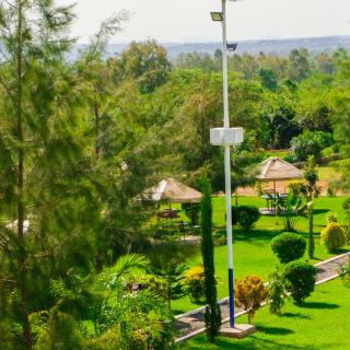 The Garden Bondo - 3