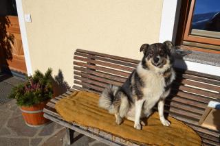 Bohrerhof - Ahrnbach - 0