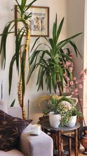 The Best Location 130 m2 salon apartment - Sarajevo - 1