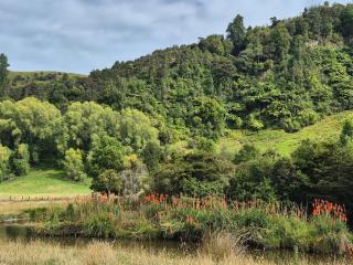 Flat Hills Tourist Park - 5