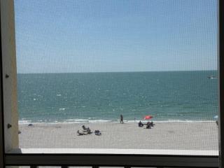 Bonita Beach Direct Beach Front Luxury & FUN - 5