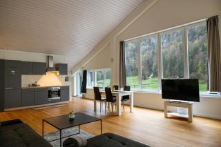 Muota River Loft & Muota Industry Apartment near Stoos - 7