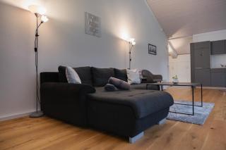 Muota River Loft & Muota Industry Apartment near Stoos - 6
