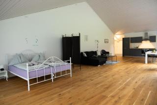 Muota River Loft & Muota Industry Apartment near Stoos - 4