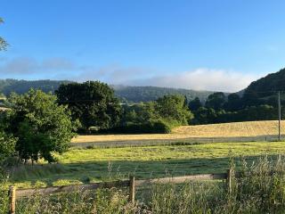 The Calving shed - 6