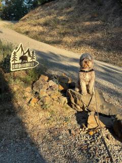 North Idaho Private Mountain Retreat - 9