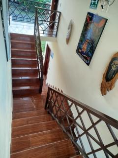 Habitación en la jungla - 5