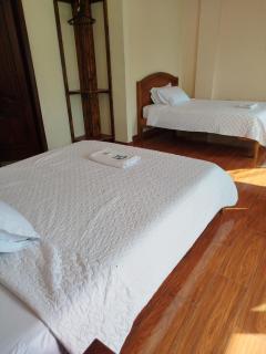 Habitación en la jungla - 4