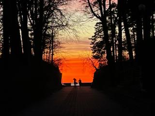 Pine Fine Terrace Apartment - 4U- 4min Beach - 9