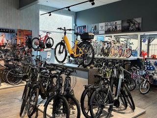 House in Breskens near Beach and Lighthouse - 2