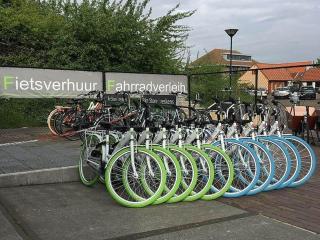 Bungalow in Breskens near the Lighthouse - 5