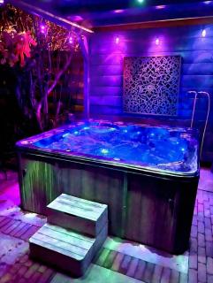 1001 Nights Luxury Spa Oasis with jacuzzi sauna and garden near Amsterdam - Vijfhuizen - 9