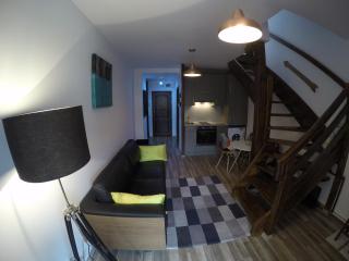 Duplex Apartment Busteni - Buşteni - 1