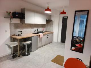 Mostek 2 Studio nad rzeką z darmowym parkingiem - 4