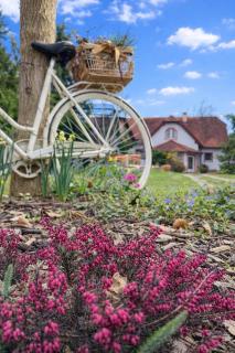 Vila EVIO Třeboň - 9