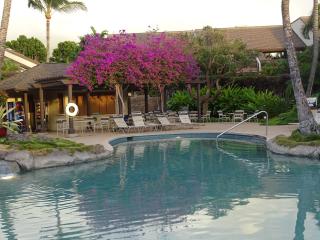 Maui Kamaole K202 - 5