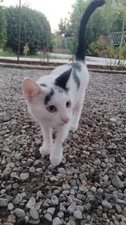 4 Seasons apartments - 4