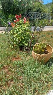 4 Seasons apartments - 5