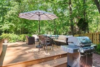 Oasis in the Woods - 1