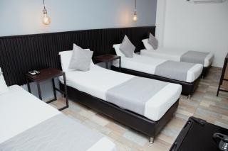 Palmas del Estadio by MH - 7