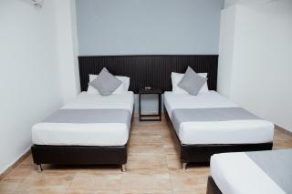 Palmas del Estadio by MH - 3