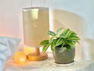 Srithanu Paradise Stay King Bed - 9