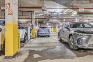 Montagnard Mont-Sainte-Anne - 8