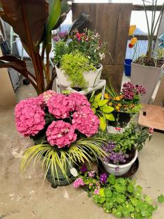 Private 1br guest suite - 5