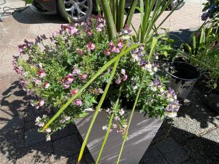 Private 1br guest suite - 7