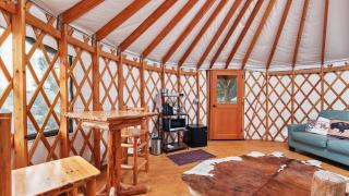 Yurt 2 - The Gold Miner - 3