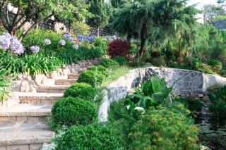 Zenora Hillside Garden - 2