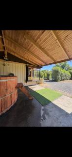 Cabaña privada salto del laja - 9