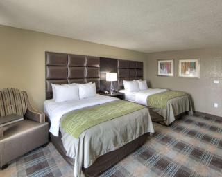 Comfort Inn & Suites Fort Worth West I-30 NAS JRB - 4