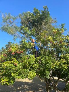 Casadana Riverview - 7