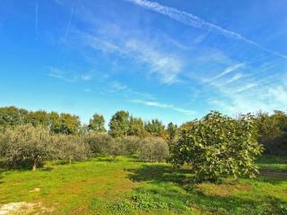 House in Fazana with Private Pool and Beach - Fažana - 8