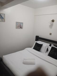Dennis Garden kilimani 1bedroom - 5