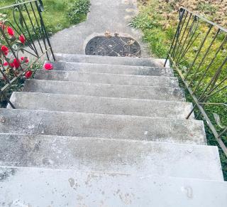 surrey central green bamboo house - 9