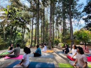 Vườn Thượng Uyển - Xuân Sơn - 2