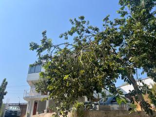 Estadía San Vicente - 9