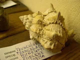 Flat with shared pool and air conditioning - 4