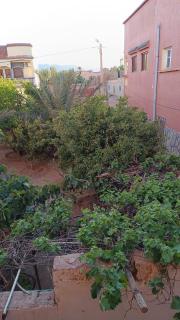 Taleb Brahim chez Lalla Fatima - 4