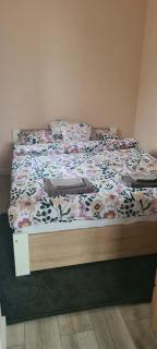 Jolanta's apartment - 1