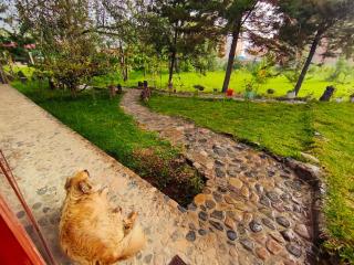 Linda casa rodeada de naturaleza - Chachapoyas - 1