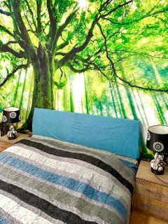 Budget Home - 2