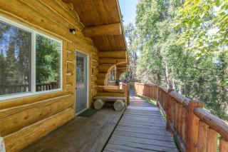 Kenai Kuik Cabins - Sockeye Salmon Cabin #4 - 9